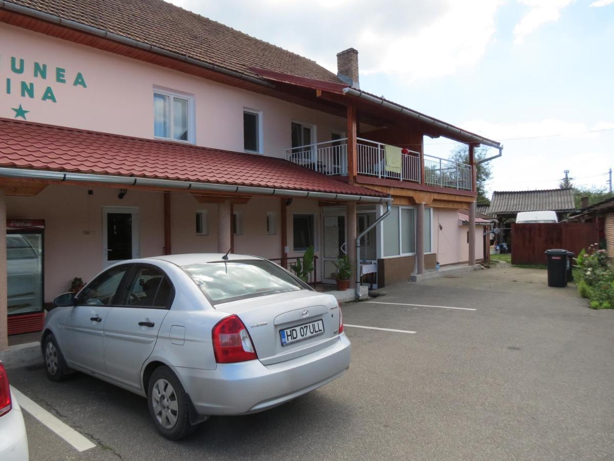 Pensiunea Cetina Brad  Exterior photo