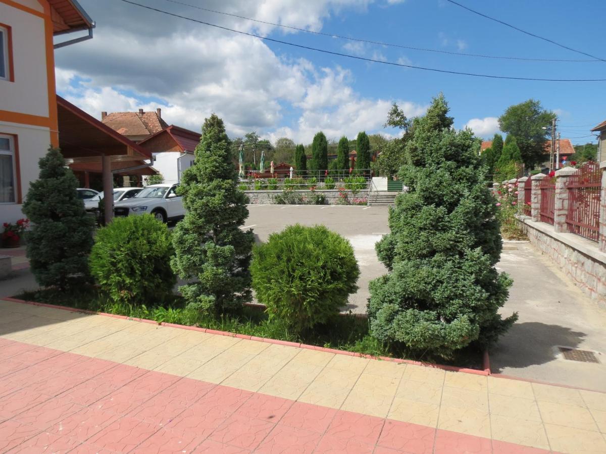 Pensiunea Cetina Brad  Exterior photo