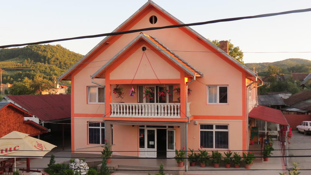 Pensiunea Cetina Brad  Exterior photo